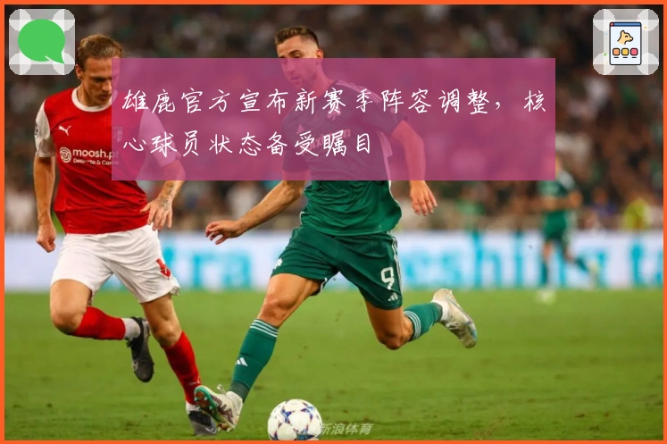 雄鹿官方宣布新赛季阵容调整，核心球员状态备受瞩目