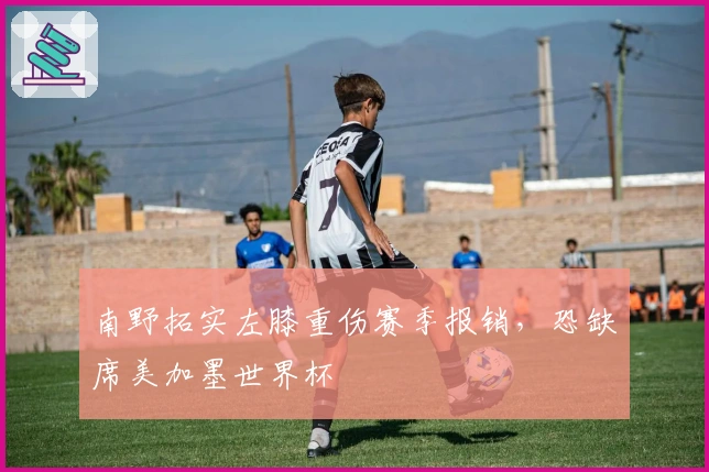 南野拓实左膝重伤赛季报销，恐缺席美加墨世界杯