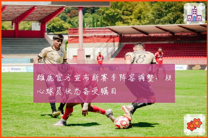 雄鹿官方宣布新赛季阵容调整,核心球员状态备受瞩目